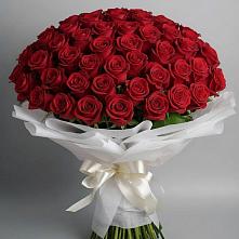 Букет 101 Красная роза Блэк Мэджик в Ваулово