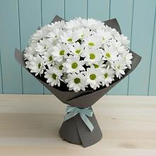 Букет цветов из:  Хризантемы #REPLACE_PRED# Ваулово