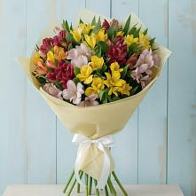 Букет цветов из:  Альстромерии в Ваулово