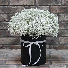 Цветочная композиция из Гипсофила в шляпной коробке в Ваулово