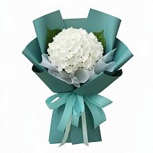 Букет цветов из:  Гортензия в Ваулово